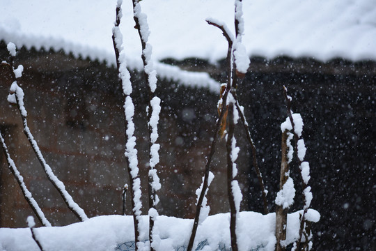 云南冰雪风光