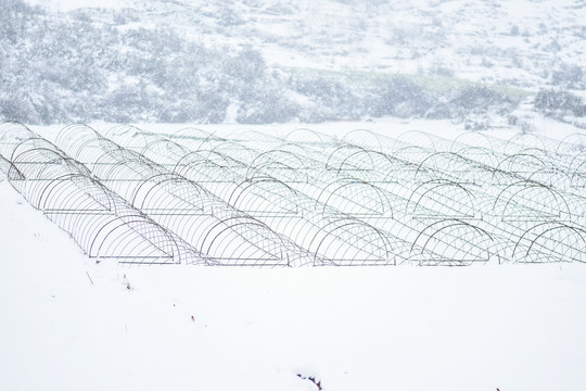 云南冰雪风光