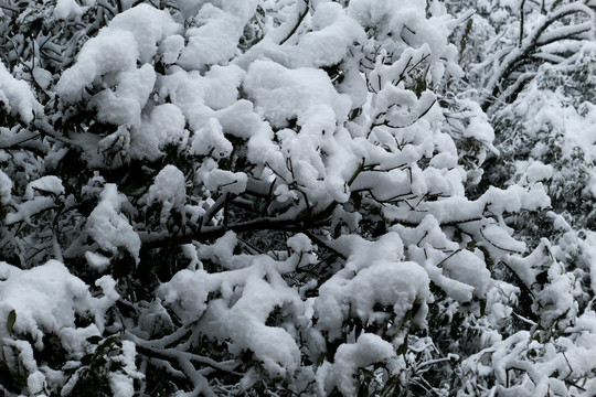 云南冰雪风光