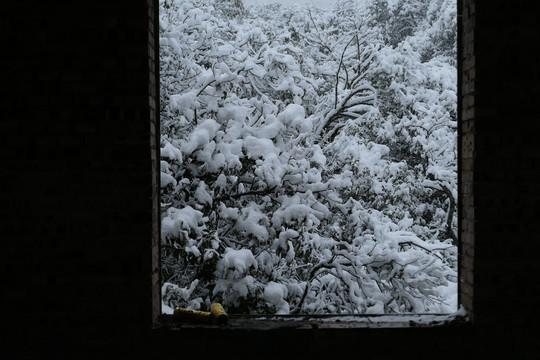 云南冰雪风光