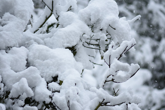 云南冰雪风光