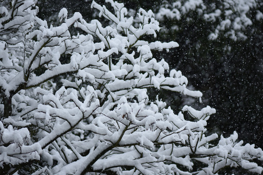 云南冰雪风光