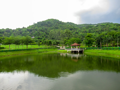 板樟岭