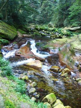 湖南湘西张家界黄石寨金鞭溪风景