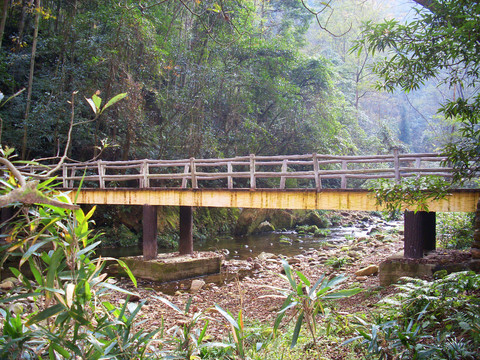 湖南湘西张家界黄石寨天子山风景