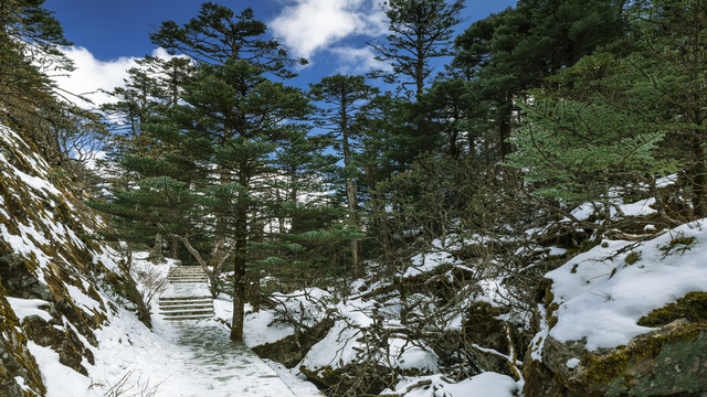 螺髻山风景区