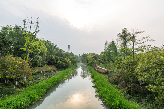 河道及其两岸绿化