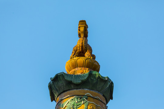 龙