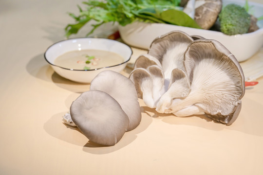 蘑菇