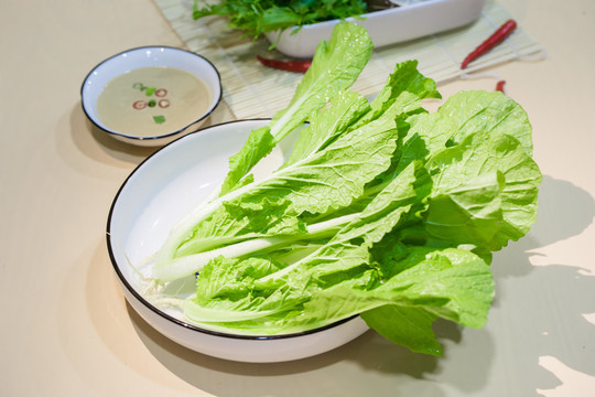 小白菜