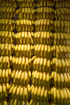 香蕉造型