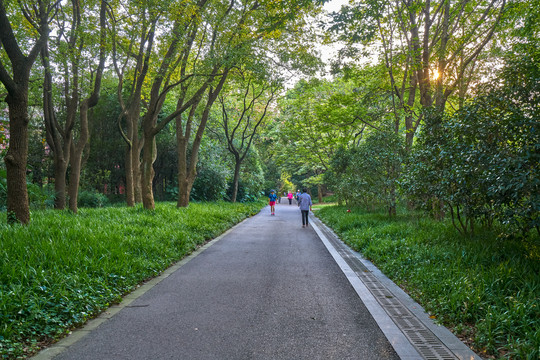 生态园林路