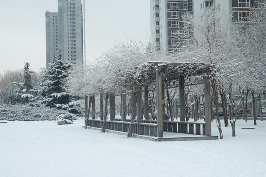 雪景