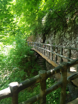 风景