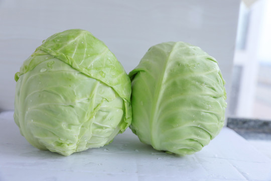 包菜