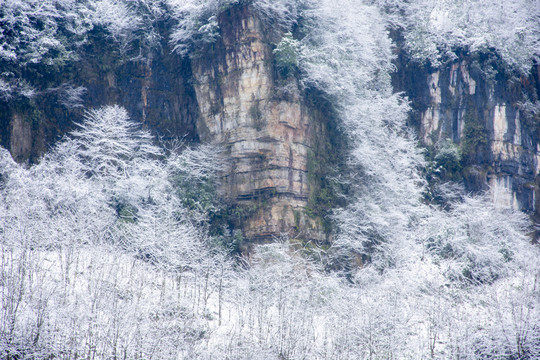 雪山