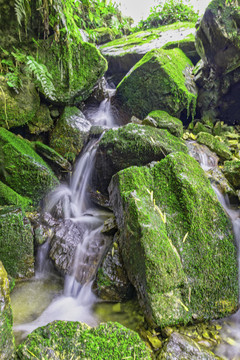 山泉