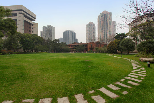 大草地