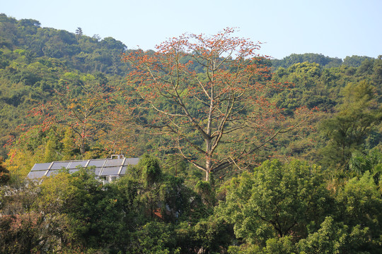 疗养院