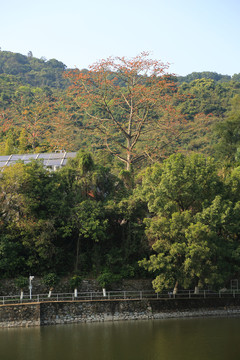 疗养院