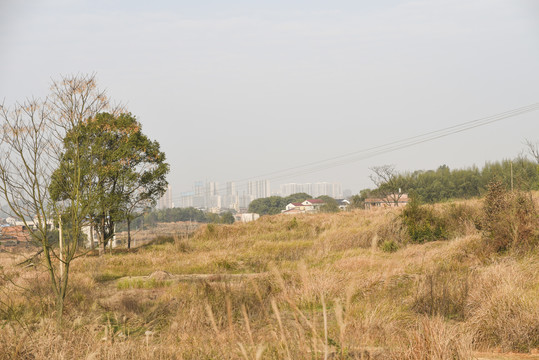 农村和城市