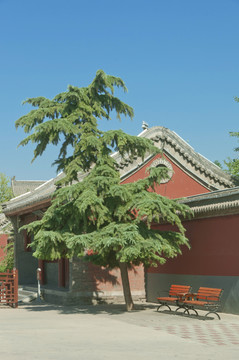 中式建筑园林一角风情