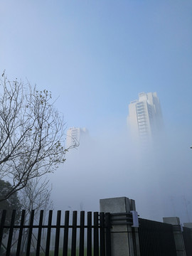 雾中都市