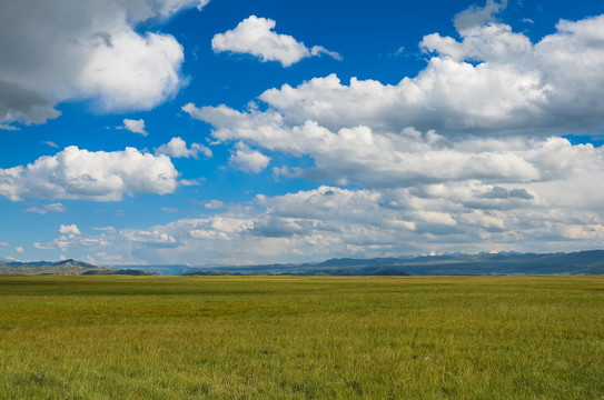 蓝天白云下的巴音布鲁克大草原