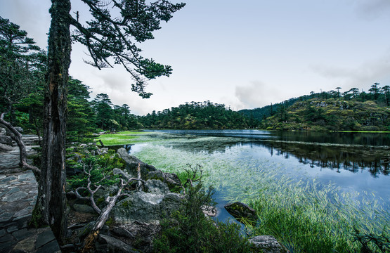 水草湖冰蚀湖