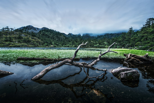 螺髻山水草湖