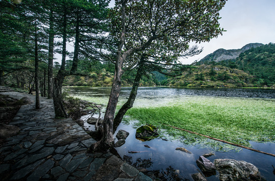 螺髻山风光