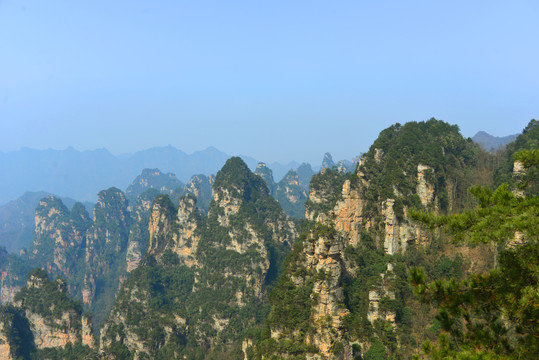 武陵源杨家界天波府砂岩峰林