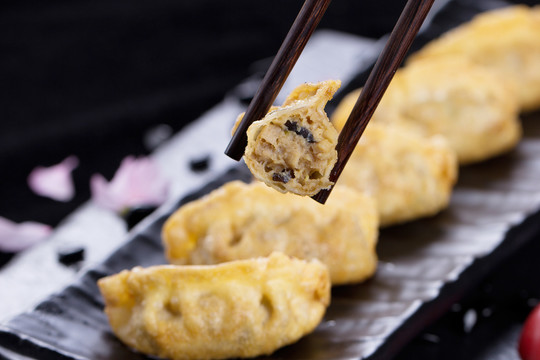 煎饺炸饺子锅贴