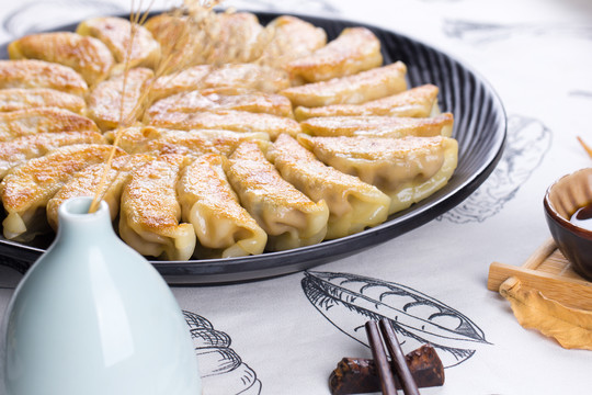 煎饺炸饺子锅贴