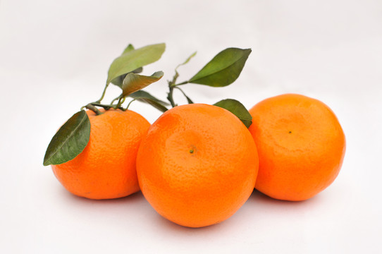 口之津橘子