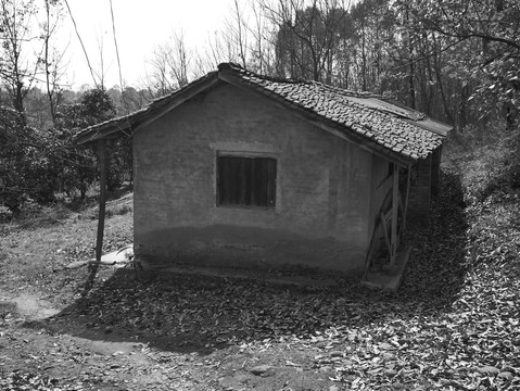 农村老建筑照片
