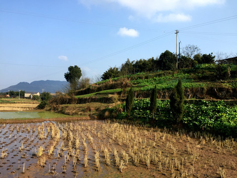 乡村景色