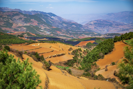 昆明东川红土地