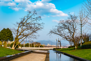 千岛湖珍珠广场绿化