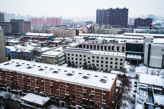 城市雪景