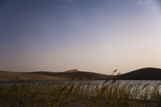 巴丹吉林沙漠与湖泊芦苇