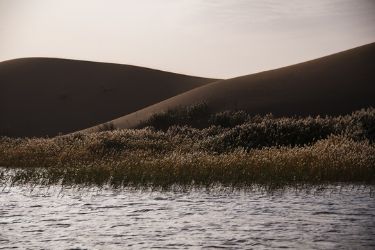 巴丹吉林沙漠与湖泊芦苇