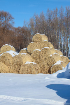 冬天雪地里的到草包