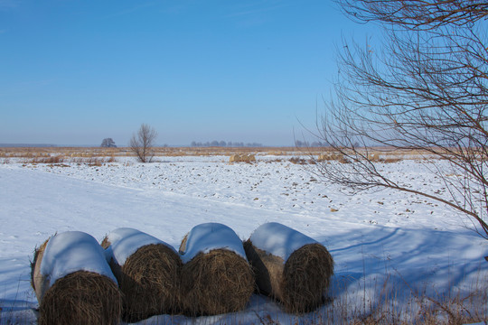 冬天雪地里的到草包