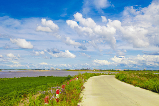 祖国北疆唯美风景蓝天白云风光
