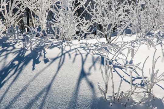 雪谷风光16