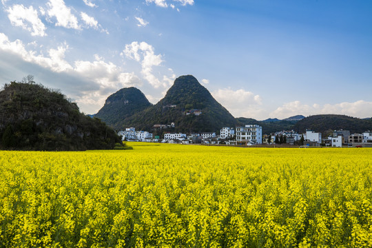 罗平金鸡峰丛油菜花海