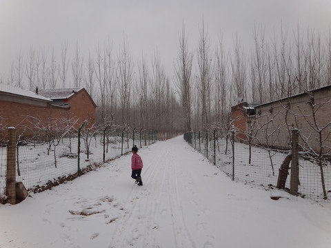 雪