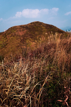 高山山丘荒山野岭