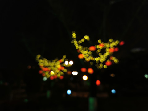 树上的夜景亮化彩色灯光